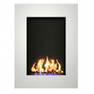 Биокамин ALBERT (ZeFire)