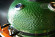 Керамический гриль SG с окошком, 57 см / 22 дюйма (зеленый) (Start Grill) в Тюмени